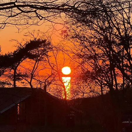 Pet Friendly In Sydals With Wifi *