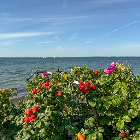 Feriehus Pet Friendly In Sydals With Wifi Sonderby (Sonderjylland)